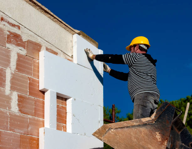 Best Residential Insulation Services  in South Rosemary, NC