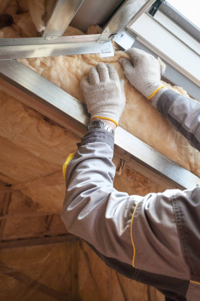 Best Best Insulation Companies  in South Rosemary, NC