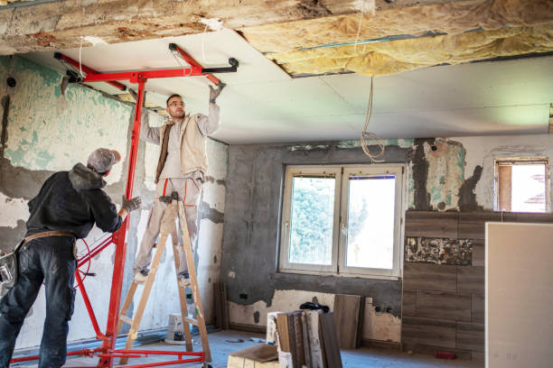 Best Cellulose Insulation  in South Rosemary, NC