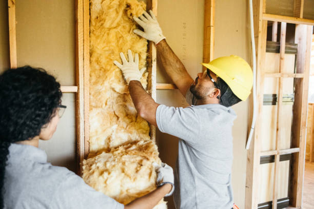 Insulation for New Construction in South Rosemary, NC