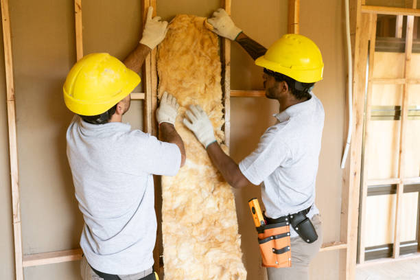 Best Insulation for New Construction  in South Rosemary, NC