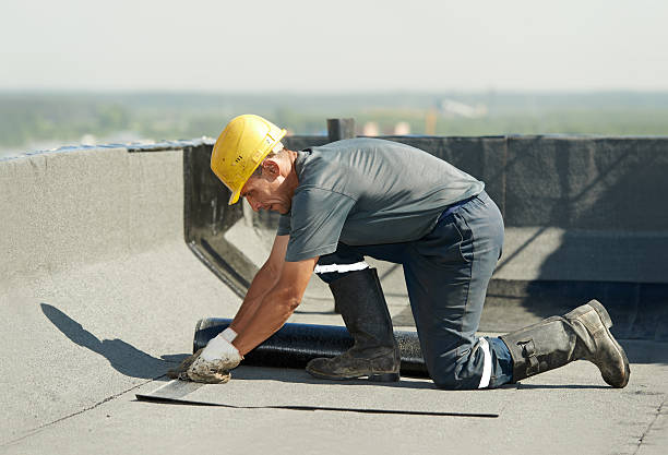 Best Fiberglass Insulation  in South Rosemary, NC