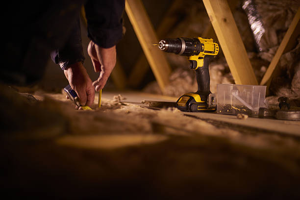 Best Insulation Inspection Services  in South Rosemary, NC