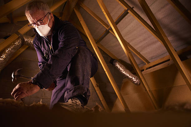 Best Professional Insulation Contractor  in South Rosemary, NC