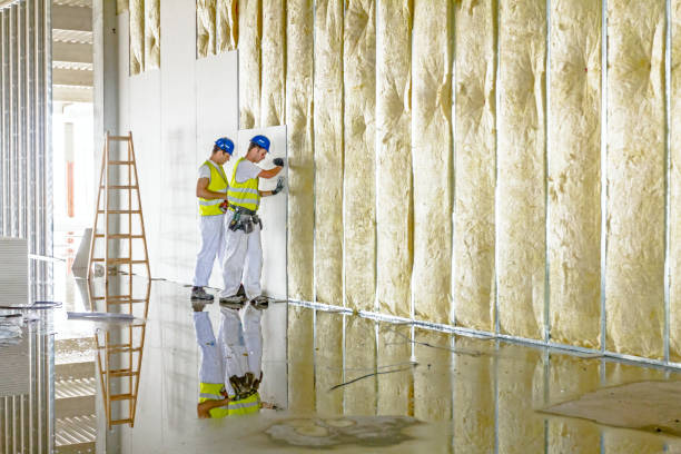 Best Garage Insulation Installation  in South Rosemary, NC